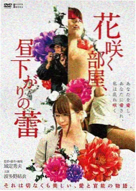 云上邮差剧场版 高清动漫资源封面