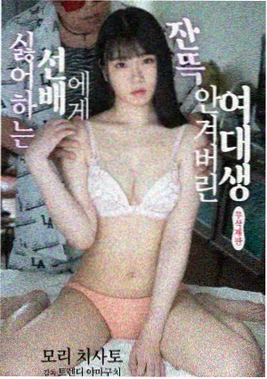第七号天文台 TV动画在线播放封面